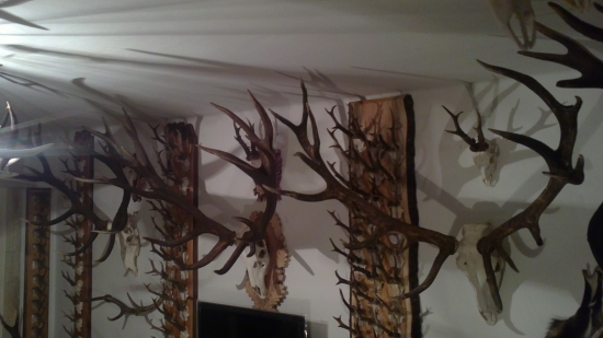 kúsok môjho sveta...