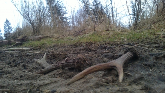 podvečerná jarná prechádzka...