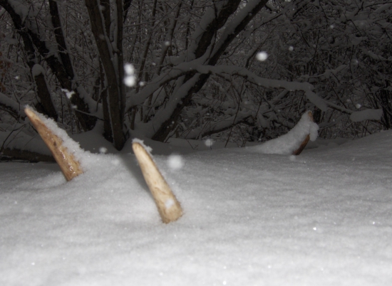 dnešné šťastie...