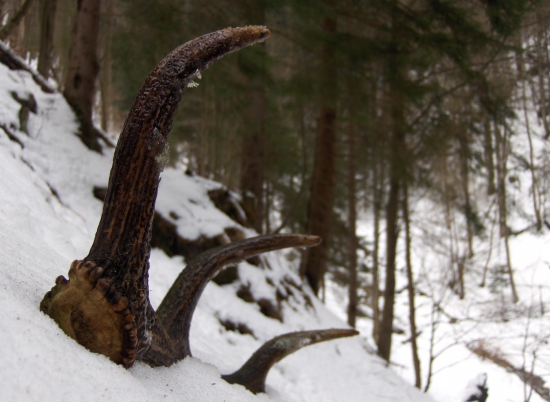 horami a dolinami...