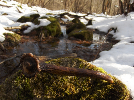 žeby štartovný?:)