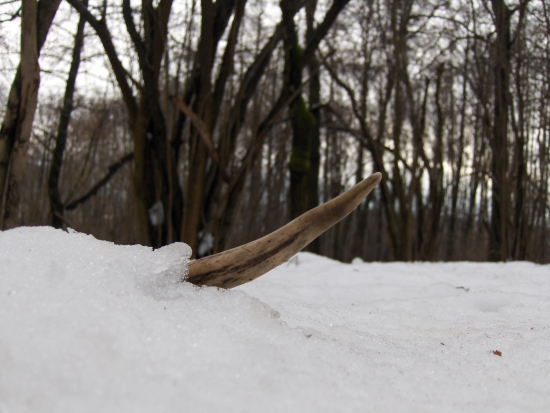 ľudí,ktorých príroda očarila má vždy nejaké to prekvapenie...