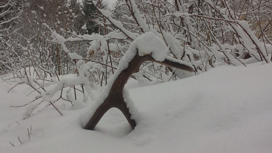 zas nám trošku nasnežilo...