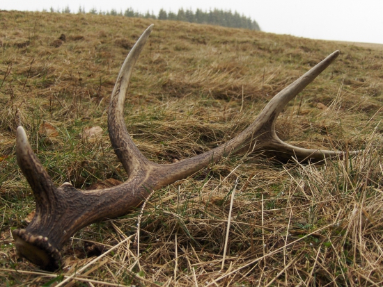 dozber z minulého roka...