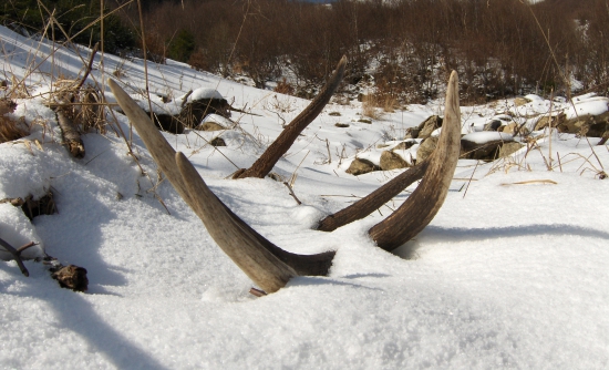 dnešná metrovica v potoku...