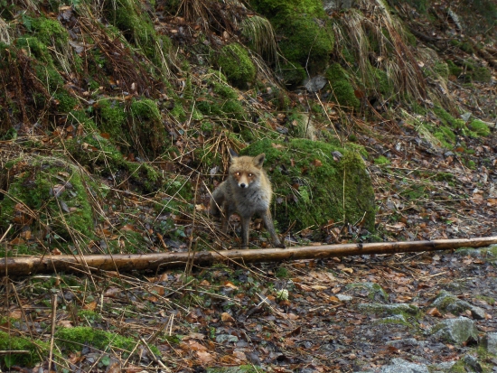 náhodné stretnutie