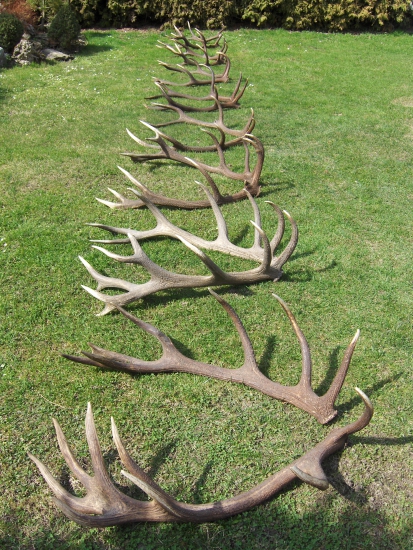 len tak na parádu...