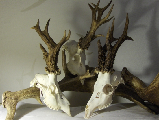 každý niečím zaujmavý...