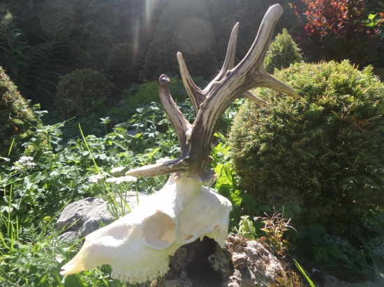 Vždy inak zaujímavý...