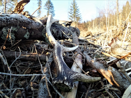 Velké hory malý zhod...