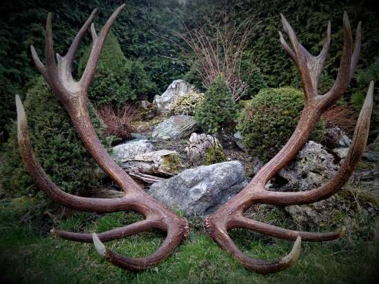 Zlatá osemnástka...