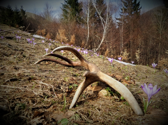 Príjemná jarná atmosféra...