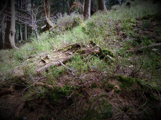 Zašitý v prostredí kde som si ho vedel predstaviť...