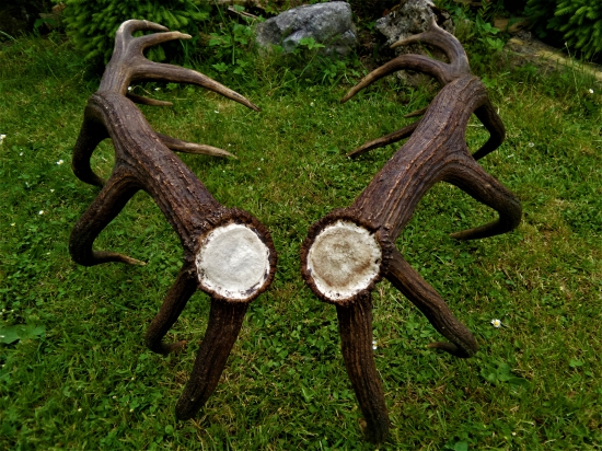 Zlatá osemnástka...