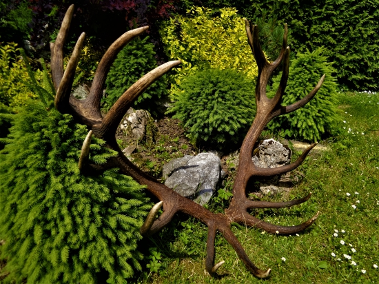 Odzrkadlenie dobrého hospodárenia...