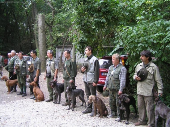 JSS Ivanka pri Dunaji