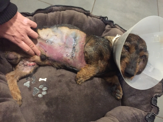 Cak Korybako- 8.12.2017/ Zakončenie úspešnej sezóny