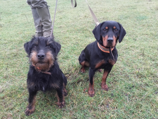 Bez nich by to nebolo ono