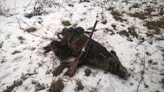 Pinta zo Šraneckych borin