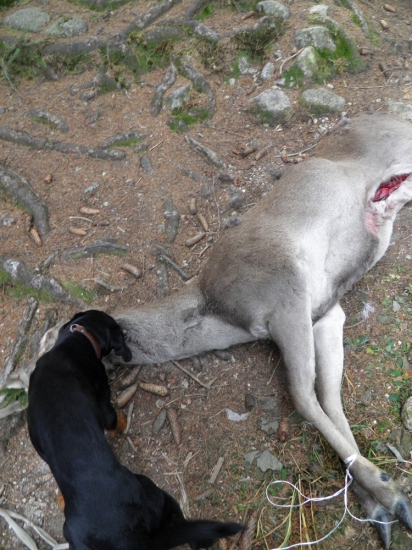 Dalsia uspesna dohladavka