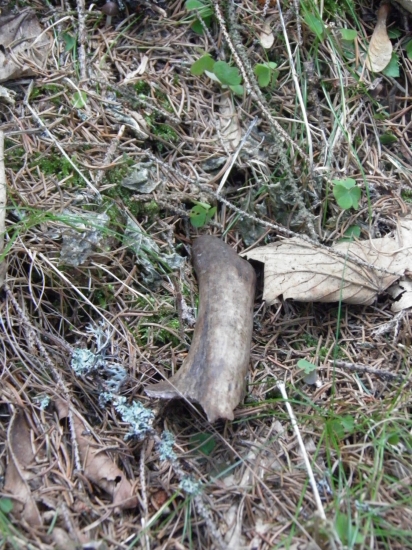 Ked neprsi aspon kvapka