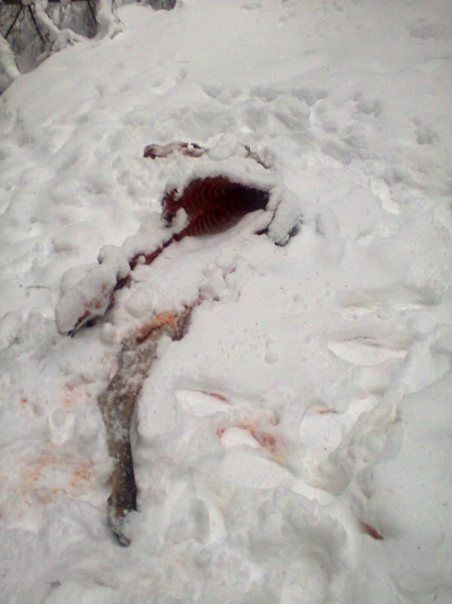 Smola na zhody- stastie na uhyny