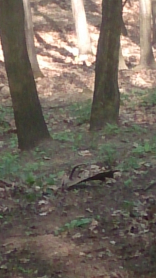 a je tam - prvy pohlad