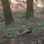 a je tam - prvy pohlad