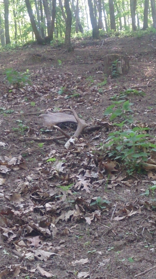 a je tam - iný pohlad