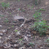 a je tam - iný pohlad