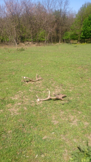 pekne spolu- na paši