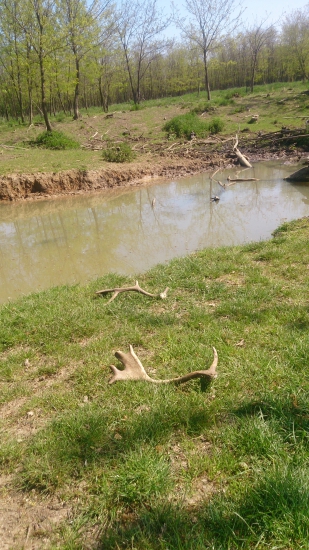 pekne spolu-pri vode