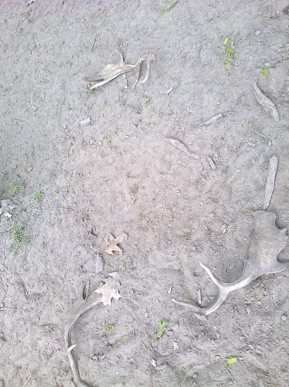 na hrabanisku- 3 varesky