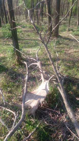 zlato v slnecnych lučoch