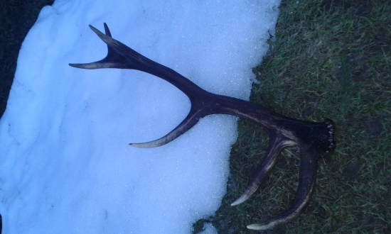 Dnešná prechádzka