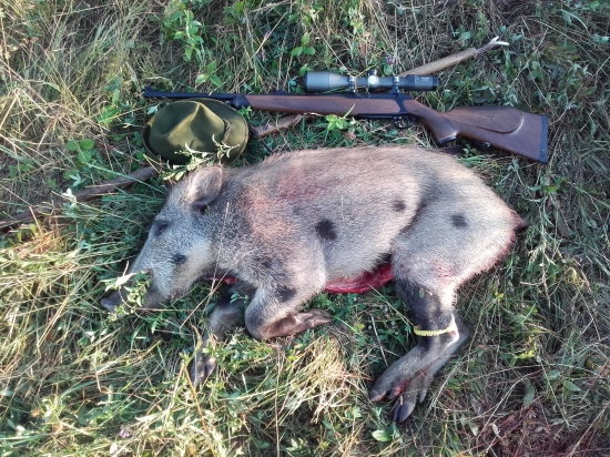 Fľakáčik