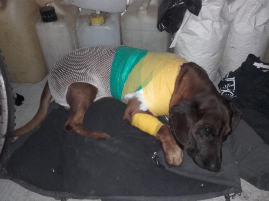 po jednej dohľadávke