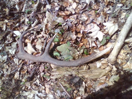 dnes pára k pondelkovému