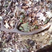 dnes pára k pondelkovému