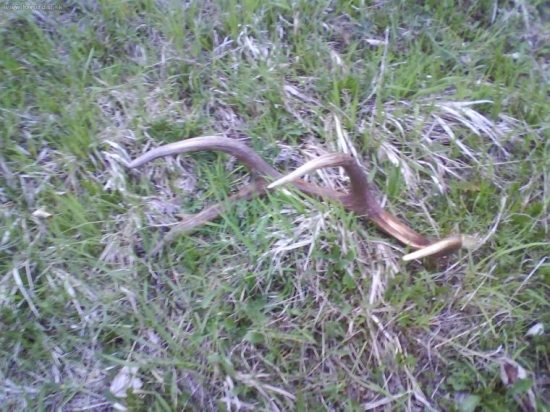 ešte sa dá nájsť