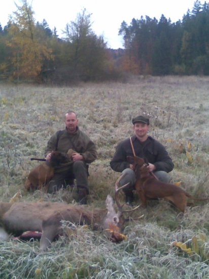 CIBA a BURY - obaja chovní