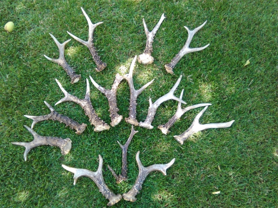 Nejlepší kousky ze sbírky