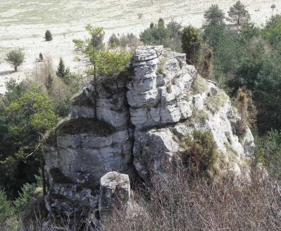 Jar v CHKO DREVENÍK 2