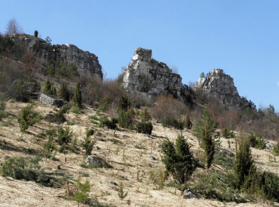 Jar v CHKO DREVENÍK