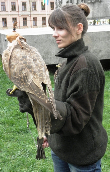 Sokoliarka pred vystúpením