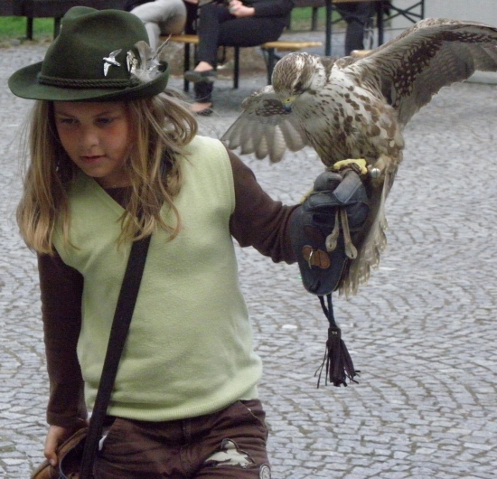 Ukážka sokoliarstva