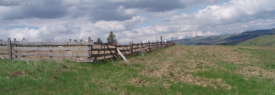 Políčko PZ Závada