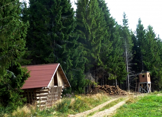 Stavby v Lesoch mesta Sp. Nová Ves