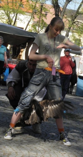 Veľký vták medzi nohami ženy