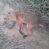 Takto sme ju strelili